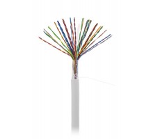 U/UTP 25pair, Cat5, In, PVC (EC-UU025-5-PVC-GY-3)