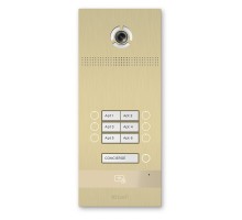 BI-06FB GOLD
