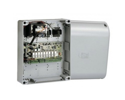 CAME ZF1N