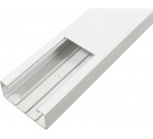 Короб 110х50 в комплекте с крышкой новый (10090 RBR)