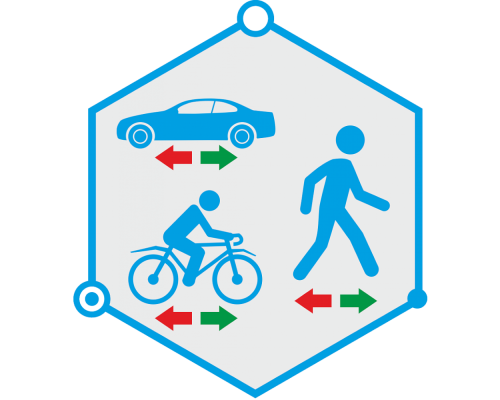 TRASSIR Direction Detector