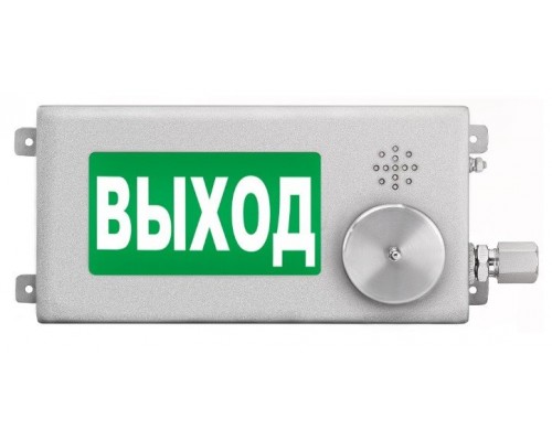 ТСВ-Exm-Н-Прометей-МИНИ 12-36В "ВЫХОД"