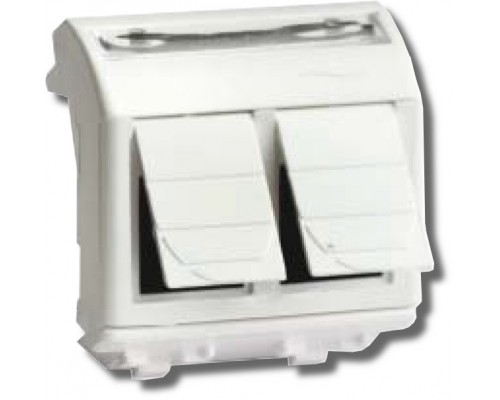 Розетка RJ-45 Brava 2 модуля слоновая кость (75643S)