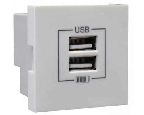 Розетка USB двойная, зарядная, белая (45439 SBR)