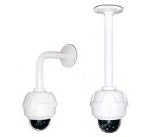 IVPD-WB
