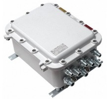 TFortis PSW-1G 4F Ex