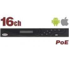 BK1216-P8