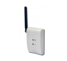 Лидер GSM