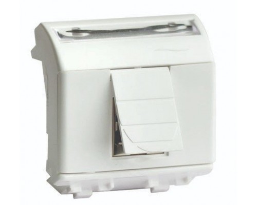 Розетка RJ-45 Brava 2 модуля слоновая кость (75655S)