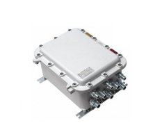 Tfortis PSW-2G+ Ex
