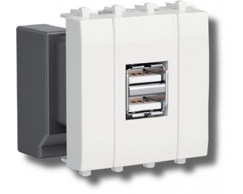 Розетка USB 2.1А Avanti 2 модуля белое облако (4400542)