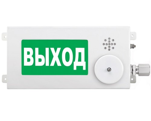 ТСЗВ-Exm-М-Прометей-МИНИ 12-36В "ВЫХОД"