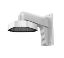 DS-1273ZJ-DM25(M1)