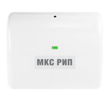 МКС РИП