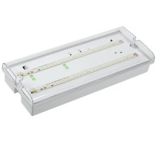 Светильник аварийный ДПА 5042-1 1ч IP65 LIGHTING (LDPA0-5042-1-65-K01)
