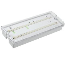 Светильник аварийный ДПА 5042-3 3ч IP65 LIGHTING (LDPA0-5042-3-65-K01)
