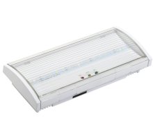 Светильник аварийный ДПА 5043-3 10-24/220В 3ч IP54 LIGHTING (LDPA1-5040-3-54-K01)