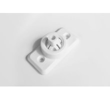Livi Holder MS/MSW