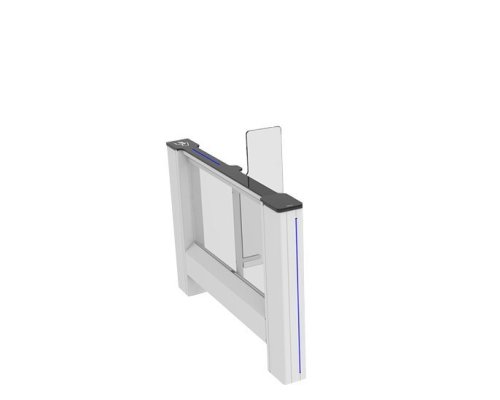CAME SWING GATE SWG 55 (001SWG55MS Slave)