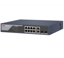 DS-3E1310P-SI