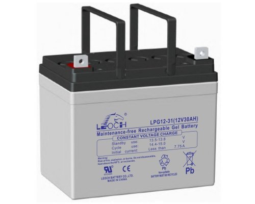 LEOCH LPG12-31
