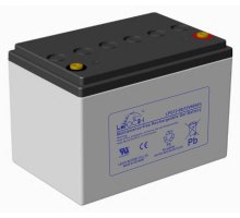 LEOCH LPG12-60