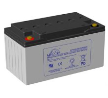 LEOCH LPG12-65