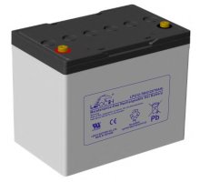 LEOCH LPG12-70 H
