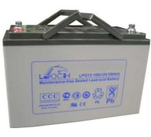 LEOCH LPG12-100