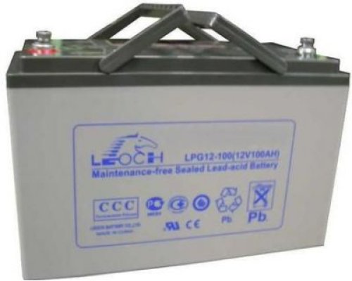 LEOCH LPG12-100
