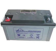 LEOCH LPG12-110