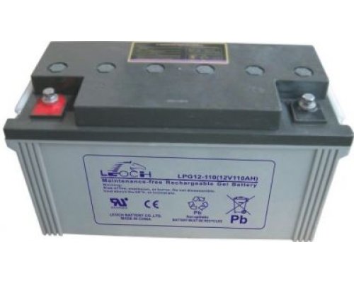 LEOCH LPG12-110