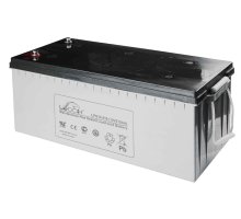 LEOCH LPG12-210