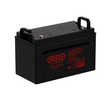 WBR EVX110-12G