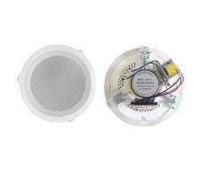 ACS-10