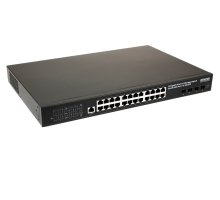 SW-24G4X-1L-I