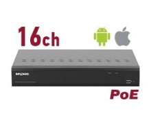RK1116-P