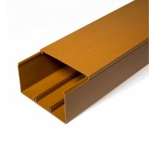 Короб 100х60 мм, бук (Промрукав) (PR.025447)
