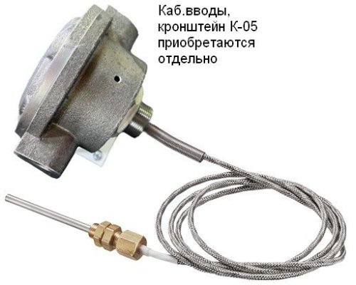 Спектрон-101-Р-Exd-Н-Modbus-ВЭ