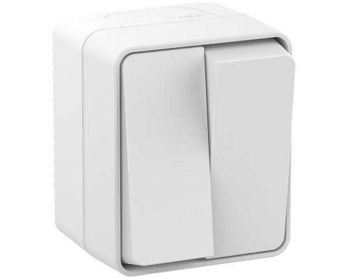 AtlasDesign PROFI54 выключатель 2-клавишный, открытой установки, белый (ATN540151)