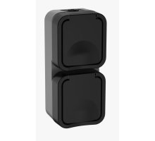 TORS Розетка 2-местная вертикальная TS132 открытой установки 16А IP55 графит (TS-R26-16-55-V-K53)