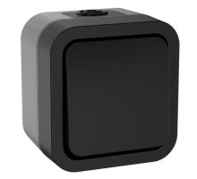TORS Переключатель 1-клавишный TS101 открытой установки 10А IP55 графит (TS-V10-0-10-55-K53)