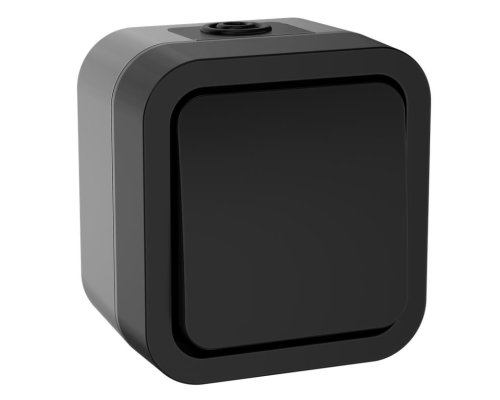 TORS Переключатель 1-клавишный TS101 открытой установки 10А IP55 графит (TS-V10-0-10-55-K53)