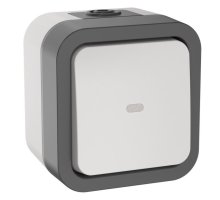 TORS Переключатель 1-клавишный с индикацией TS202 открытой установки 10А IP55 серо-белый (TS-V10-1-10-55-K41)