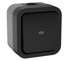TORS Переключатель 1-клавишный с индикацией TS102 открытой установки 10А IP55 графит (TS-V10-1-10-55-K53)