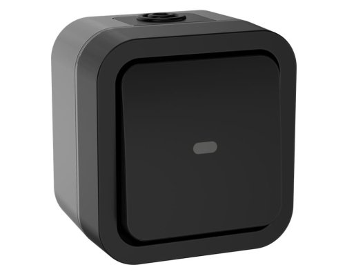 TORS Переключатель 1-клавишный с индикацией TS102 открытой установки 10А IP55 графит (TS-V10-1-10-55-K53)