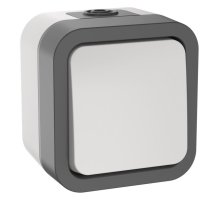 TORS Выключатель 1-клавишный кнопочный TS210 открытой установки 10А IP55 серо-белый (TS-V14-0-10-55-K41)
