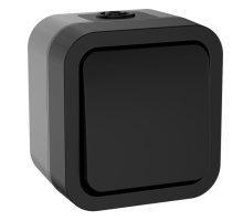 TORS Выключатель 1-клавишный кнопочный TS110 открытой установки 10А IP55 графит (TS-V14-0-10-55-K53)