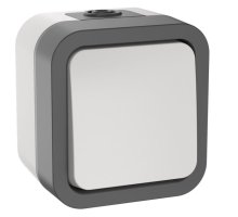 TORS Выключатель 1-клавишный двухполюсный TS211 открытой установки 10А IP55 серо-белый (TS-V16-0-10-55-K41)