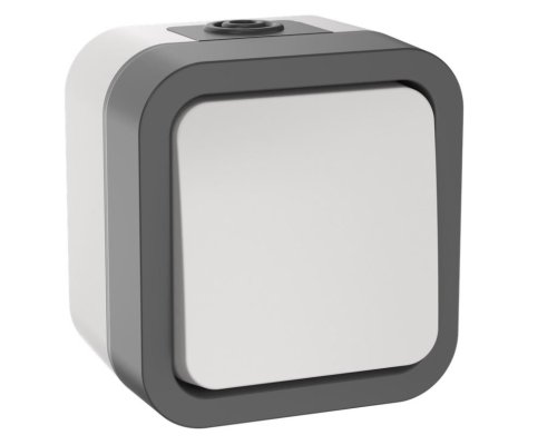 TORS Выключатель 1-клавишный двухполюсный TS211 открытой установки 10А IP55 серо-белый (TS-V16-0-10-55-K41)